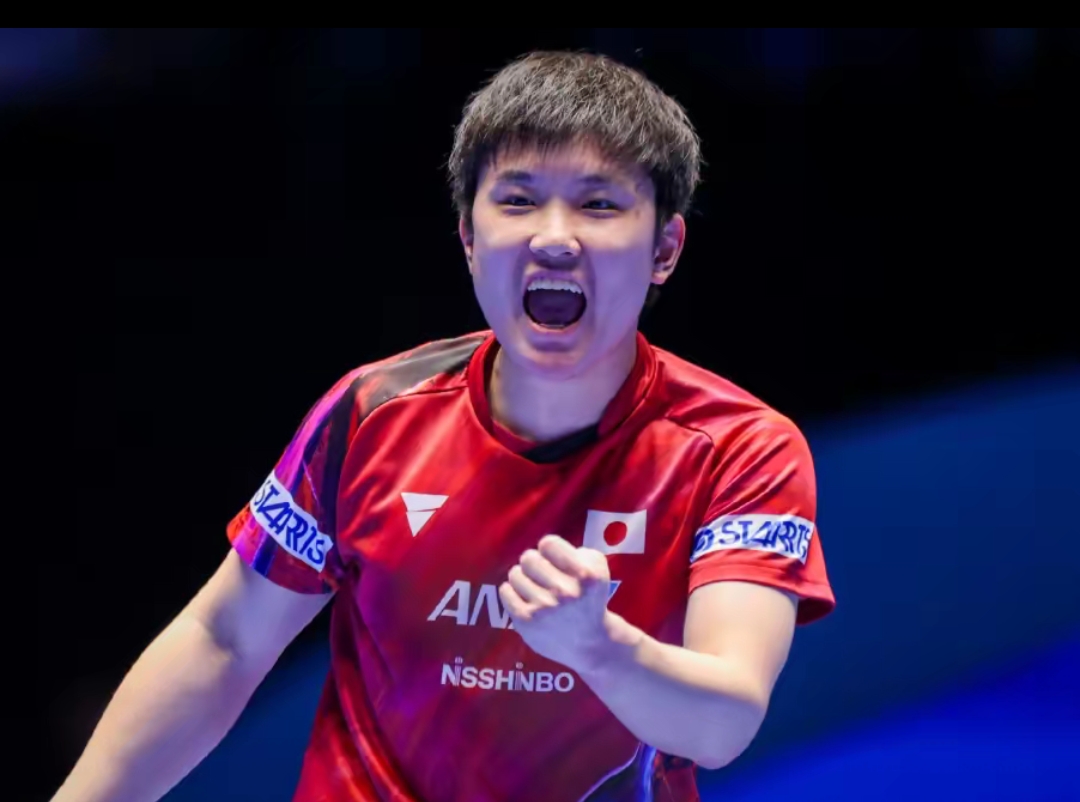 势的战将 势的战将